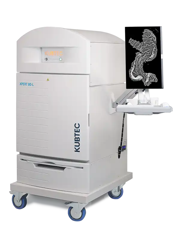 健康・医学 S.A.T. SPECIFIC ADJUSTING TECHNIQUE 健康・医学 S.A.T. SPECIFIC ADJUSTING TECHNIQUE Chiropractic